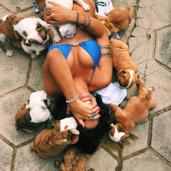 daily picdump weekend edition 68 pics 26.html - 68 HD Photos | Premium Gallery 2017