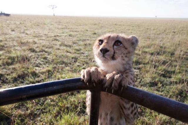 daily picdump weekend edition 68 pics 26.html - 68 HD Photos | Premium Gallery 2017