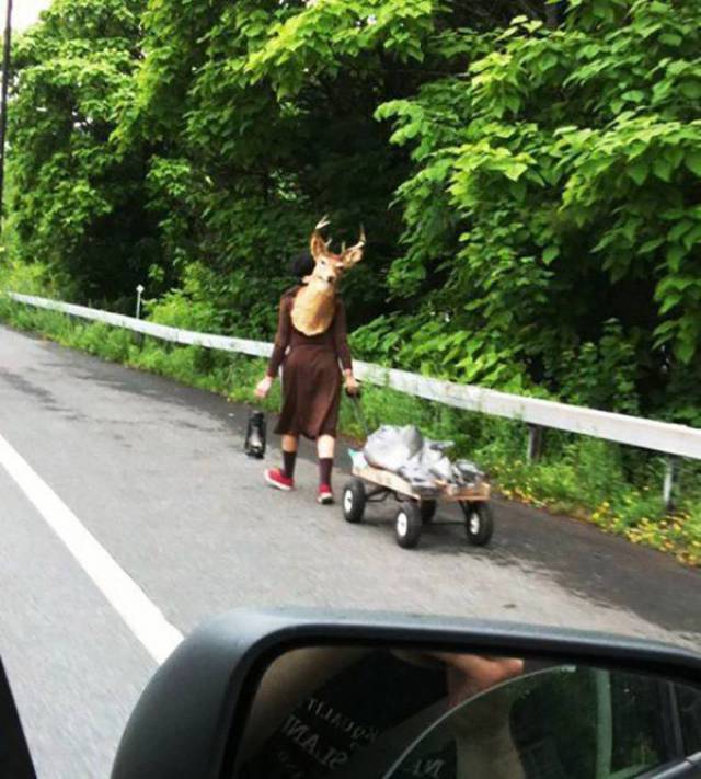 Daily Picdump [WEEKEND EDITION]