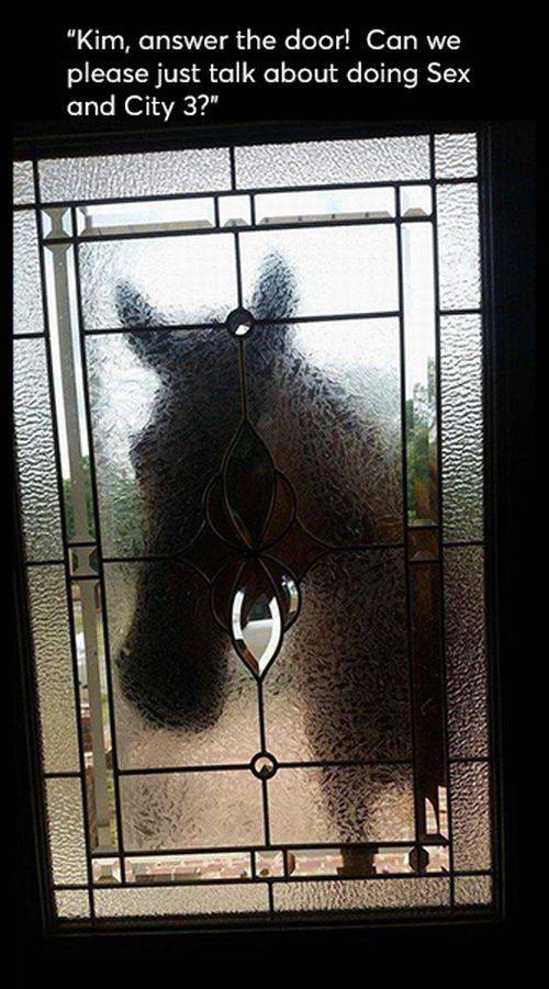 daily picdump weekend edition 68 pics 26.html - 68 HD Photos | Premium Gallery 2017