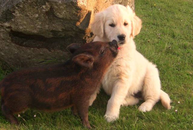 daily picdump 104 pics 3.html - 104 HD Photos | Premium Gallery 2017