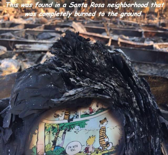 daily picdump 104 pics 3.html - 104 HD Photos | Premium Gallery 2017