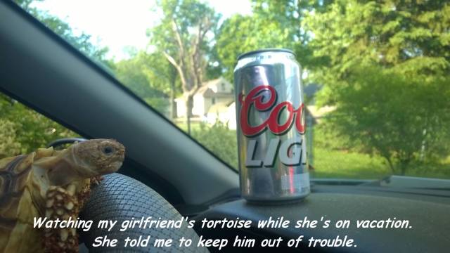 daily picdump 104 pics 3.html - 104 HD Photos | Premium Gallery 2017