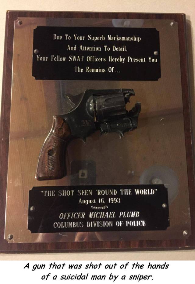 daily picdump 104 pics 3.html - 104 HD Photos | Premium Gallery 2017