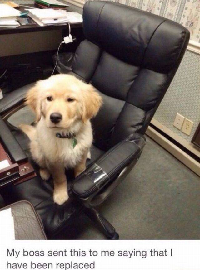 daily picdump 104 pics 3.html - 104 HD Photos | Premium Gallery 2017