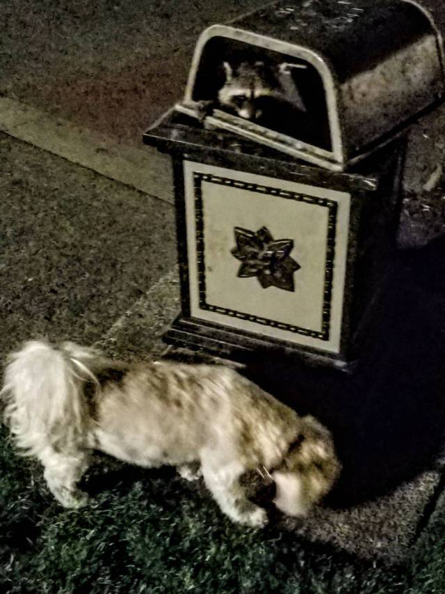 daily picdump 104 pics 3.html - 104 HD Photos | Premium Gallery 2017