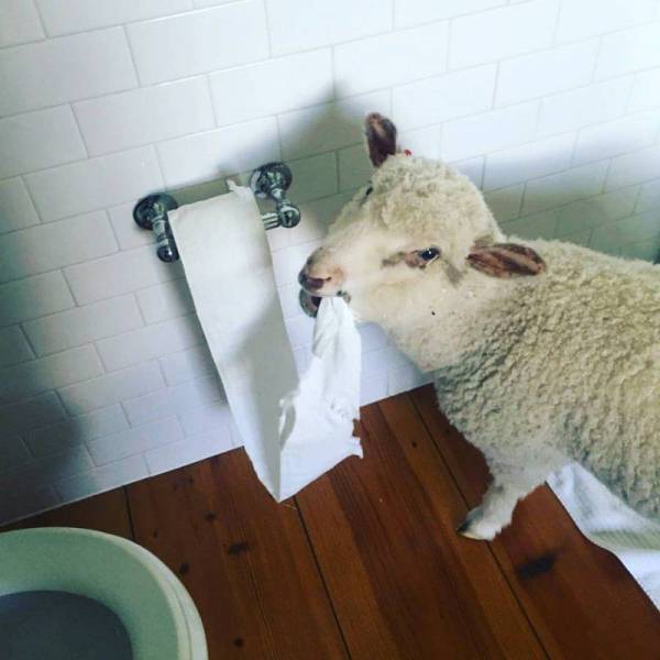 daily picdump 106 pics 44.html - 106 HD Photos | Premium Gallery 2017