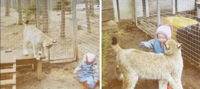 daily picdump 106 pics 44.html - 106 HD Photos | Premium Gallery 2017