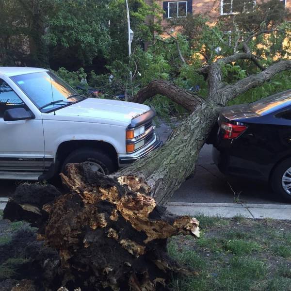 daily picdump 106 pics 44.html - 106 HD Photos | Premium Gallery 2017