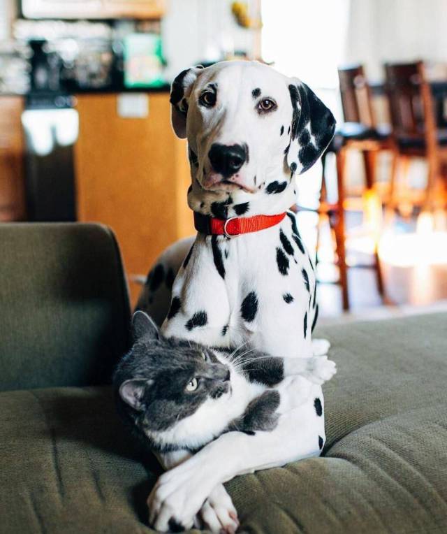 daily picdump 106 pics 44.html - 106 HD Photos | Premium Gallery 2017