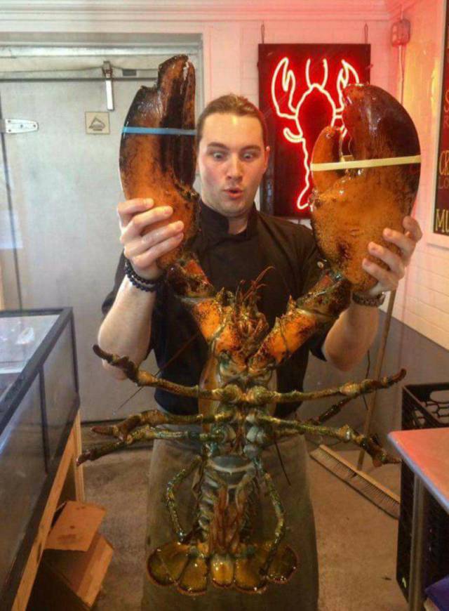 daily picdump 106 pics 44.html - 106 HD Photos | Premium Gallery 2017