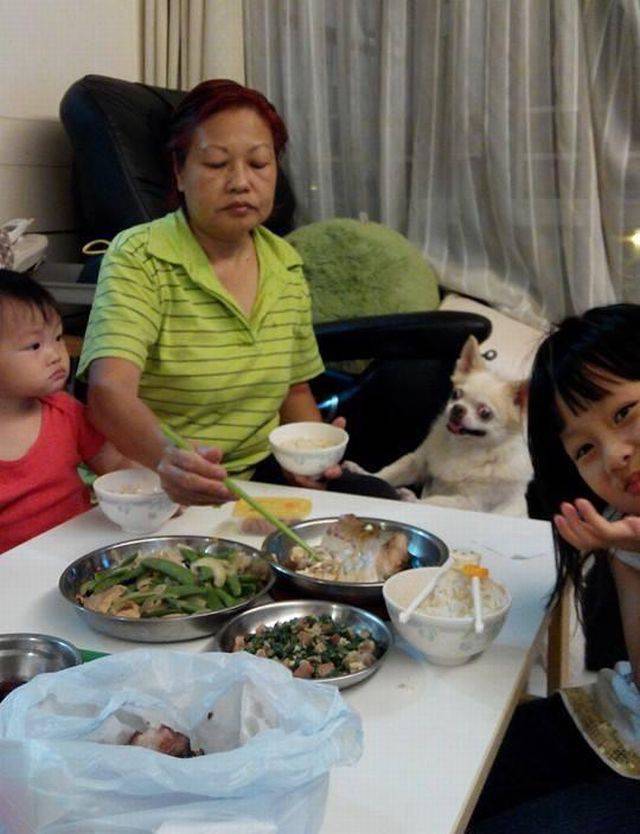 daily picdump 106 pics 44.html - 106 HD Photos | Premium Gallery 2017