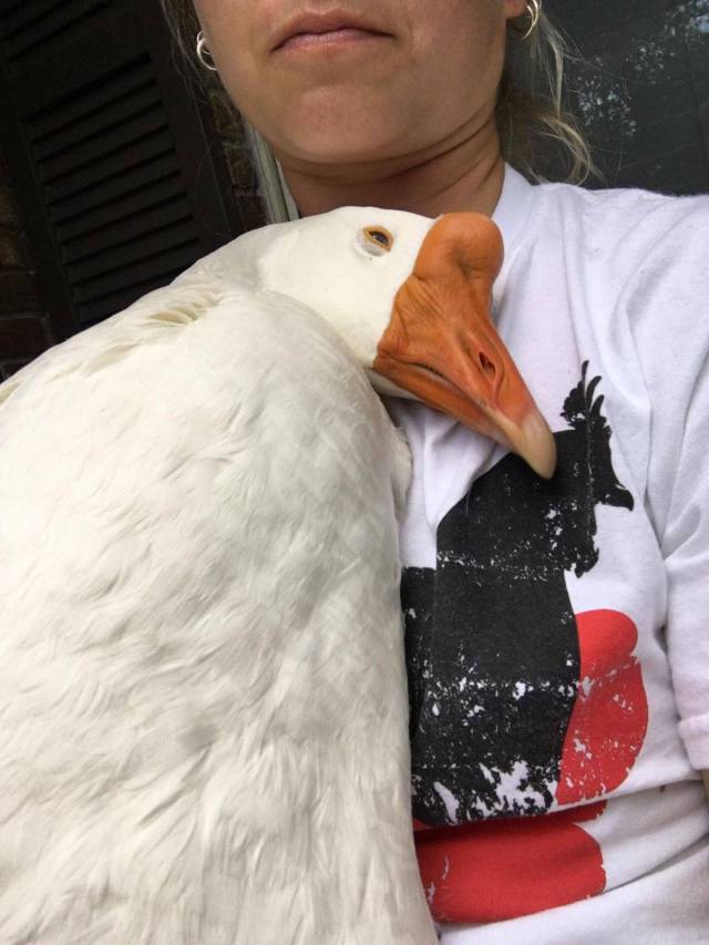 daily picdump 106 pics 44.html - 106 HD Photos | Premium Gallery 2017