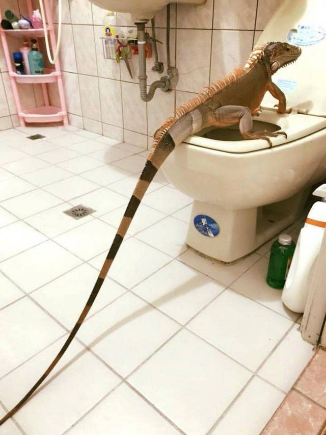 daily picdump 106 pics 44.html - 106 HD Photos | Premium Gallery 2017