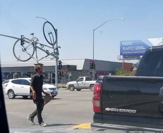 Hard-to-explain WTF Photos