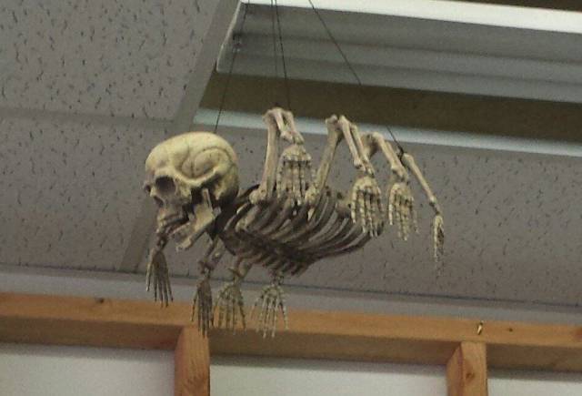 Hard-to-explain WTF Photos