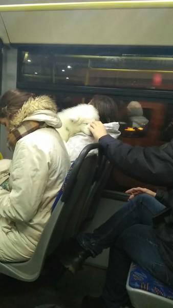 Morning Picdump
