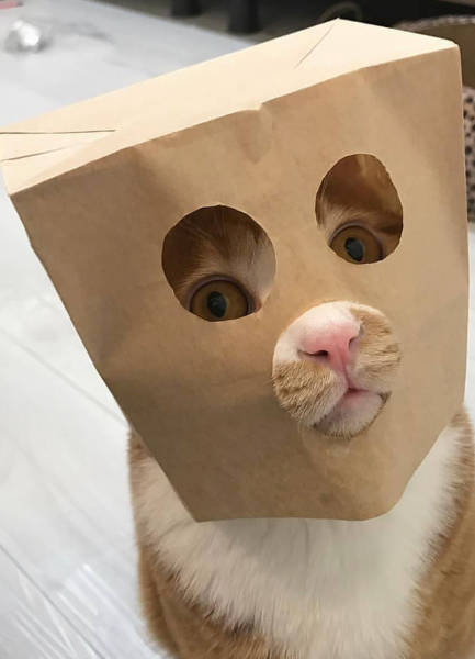 morning picdump 51 pics 3.html - 51 HD Photos | Premium Gallery 2017