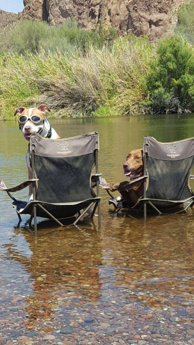 morning picdump 51 pics 3.html - 51 HD Photos | Premium Gallery 2017