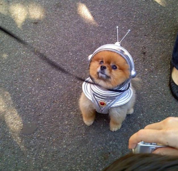 daily picdump 96 pics 34.html - 96 HD Photos | Premium Gallery 2017