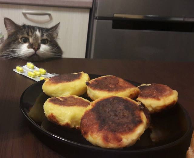 daily picdump 96 pics 34.html - 96 HD Photos | Premium Gallery 2017