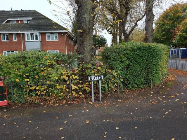 daily picdump 96 pics 34.html - 96 HD Photos | Premium Gallery 2017