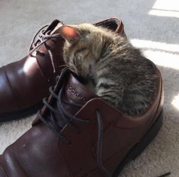 daily picdump 96 pics 34.html - 96 HD Photos | Premium Gallery 2017