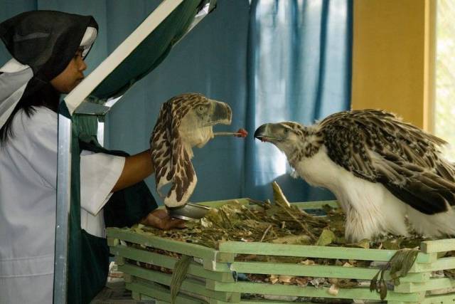 daily picdump 96 pics 34.html - 96 HD Photos | Premium Gallery 2017