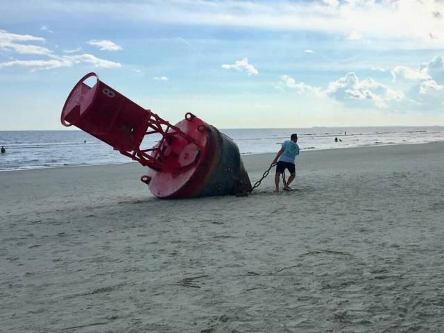 daily picdump 96 pics 34.html - 96 HD Photos | Premium Gallery 2017