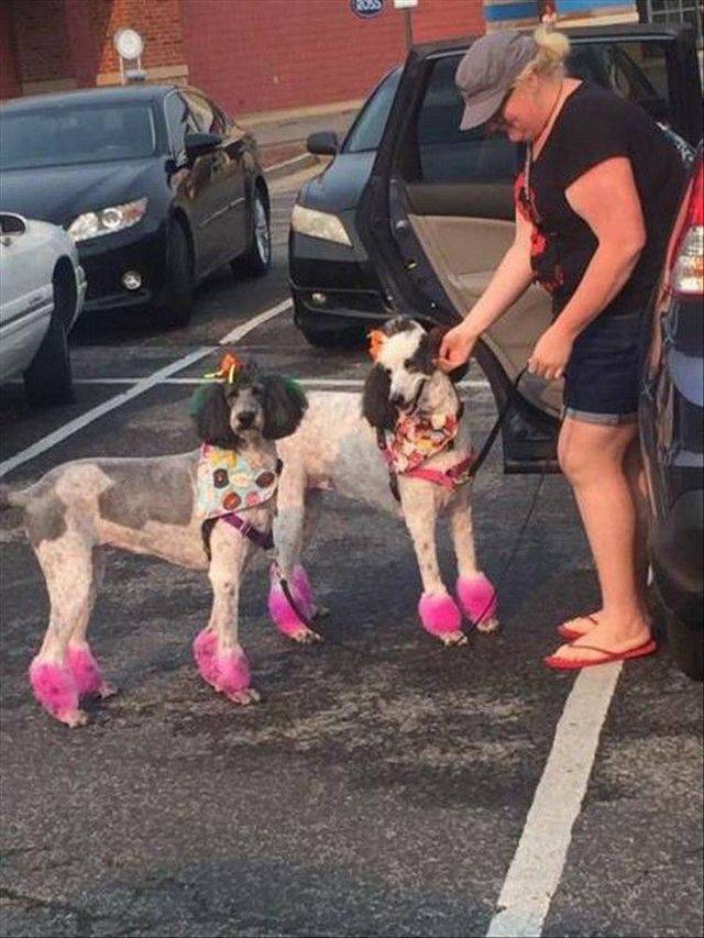 daily picdump 96 pics 34.html - 96 HD Photos | Premium Gallery 2017