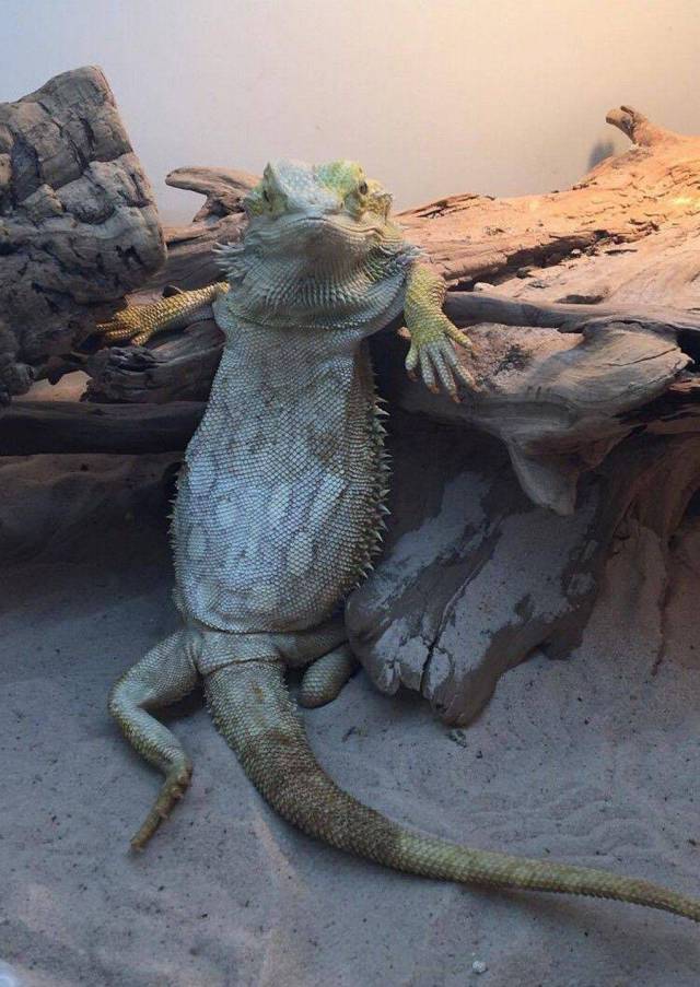 daily picdump 96 pics 34.html - 96 HD Photos | Premium Gallery 2017