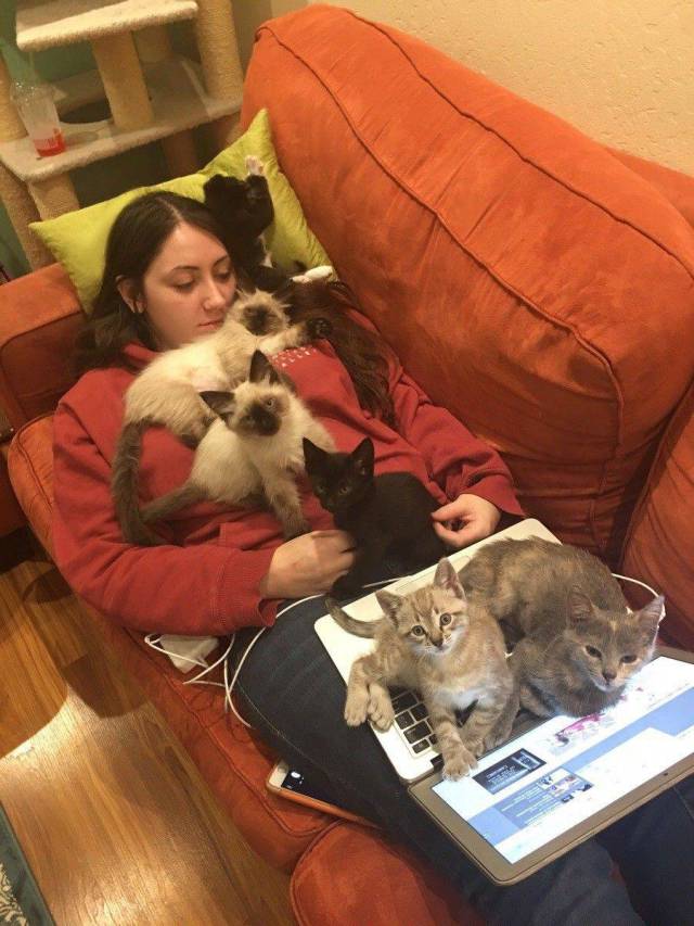 daily picdump 96 pics 34.html - 96 HD Photos | Premium Gallery 2017