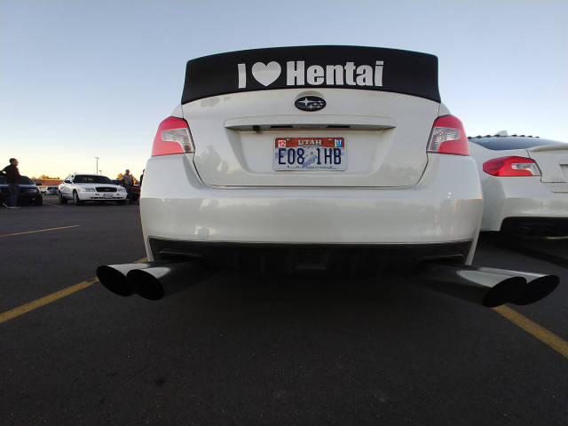 morning picdump 53 pics 17.html - 53 HD Photos | Premium Gallery 2017