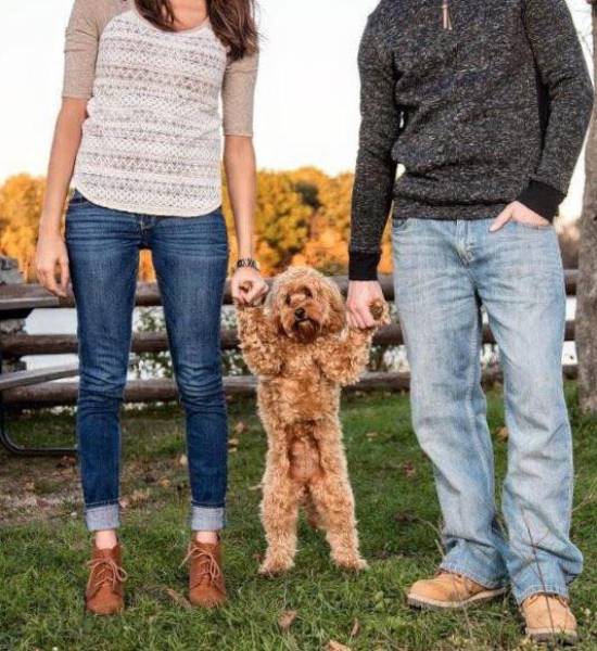 morning picdump 51 pics 14.html - 51 HD Photos | Premium Gallery 2017