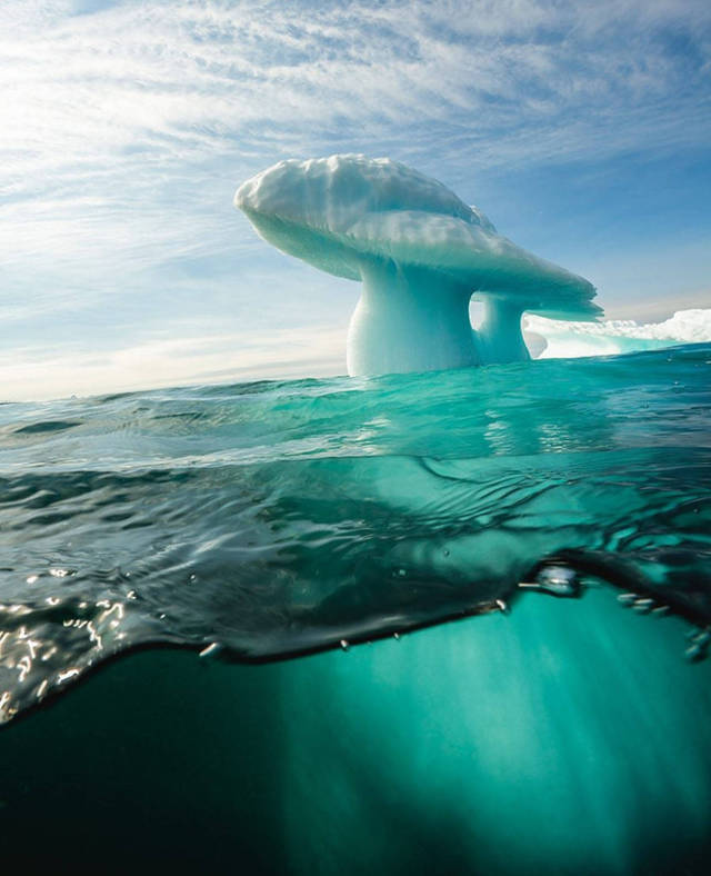 morning picdump 51 pics 14.html - 51 HD Photos | Premium Gallery 2017