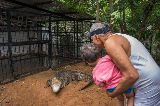 daily picdump 100 pics 48.html - 100 HD Photos | Premium Gallery 2017