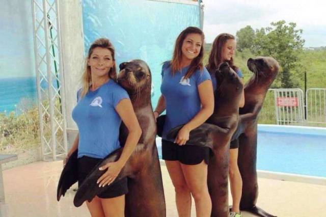 daily picdump 100 pics 48.html - 100 HD Photos | Premium Gallery 2017