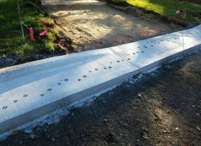 daily picdump 100 pics 48.html - 100 HD Photos | Premium Gallery 2017