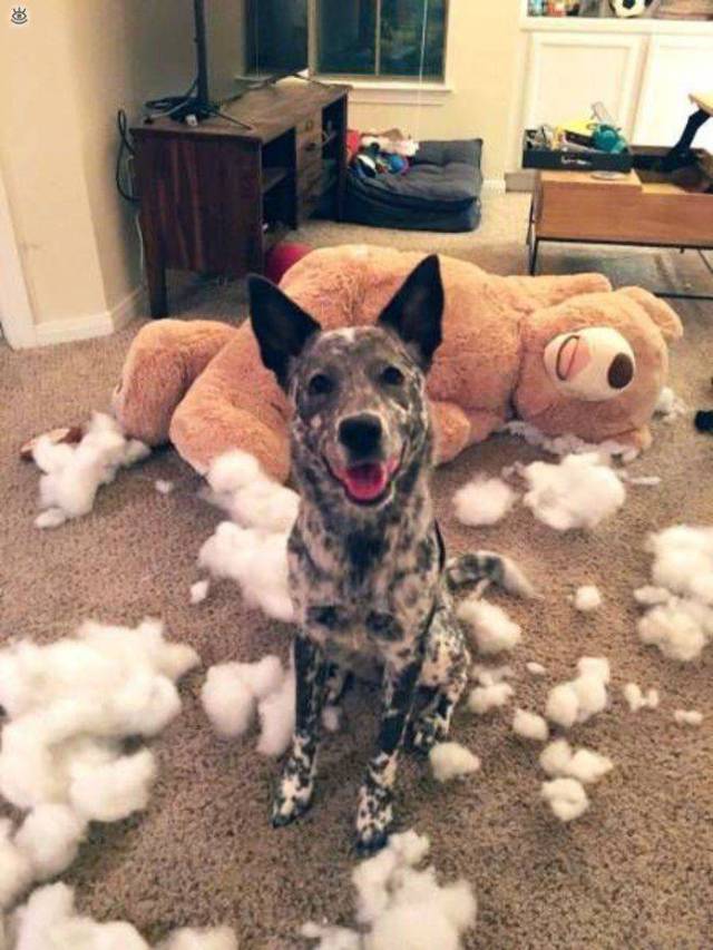 daily picdump 100 pics 48.html - 100 HD Photos | Premium Gallery 2017