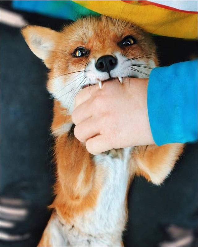 daily picdump 100 pics 48.html - 100 HD Photos | Premium Gallery 2017