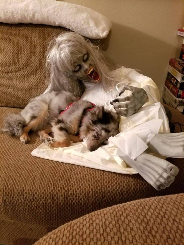 daily picdump 100 pics 48.html - 100 HD Photos | Premium Gallery 2017