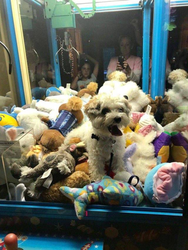 daily picdump 100 pics 48.html - 100 HD Photos | Premium Gallery 2017