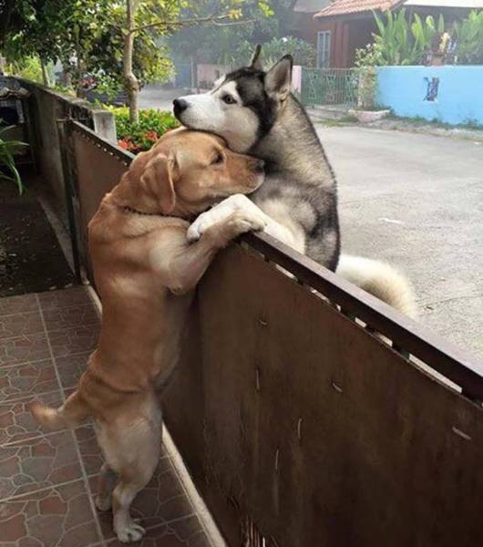 morning picdump 50 pics 25.html - 50 HD Photos | Premium Gallery 2017