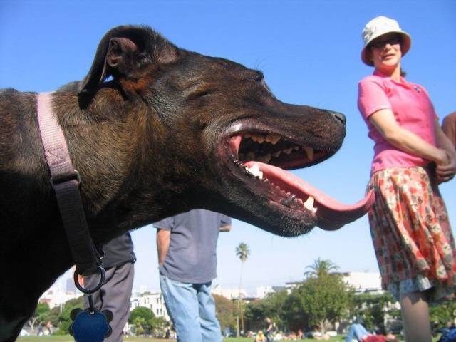 Daily Picdump [WEEKEND EDITION]