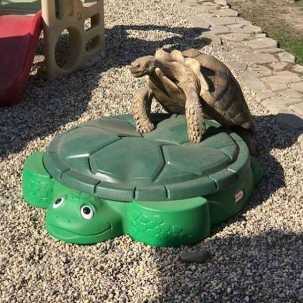 daily picdump weekend edition 66 pics 21.html - 66 HD Photos | Premium Gallery 2017