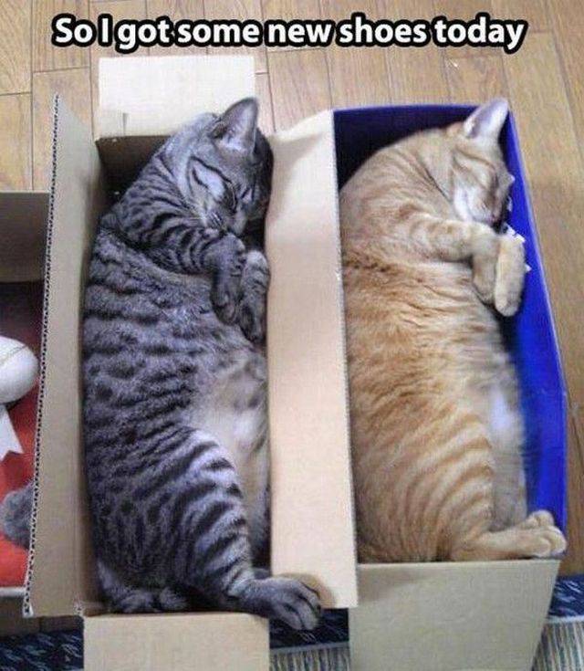 Daily Picdump [WEEKEND EDITION]