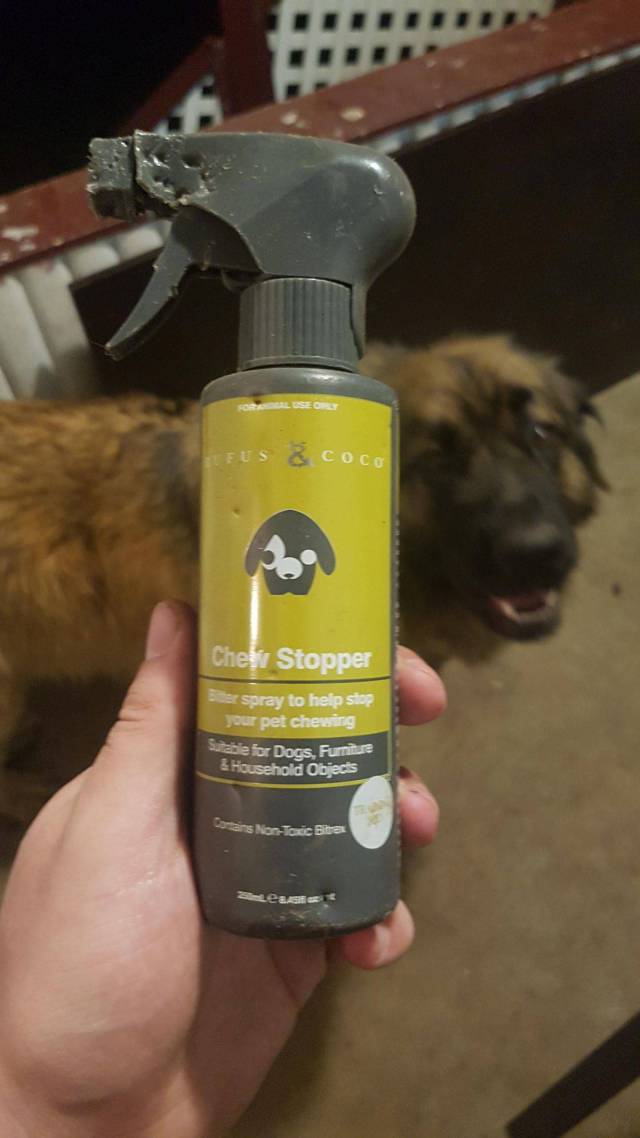 Daily Picdump [WEEKEND EDITION]