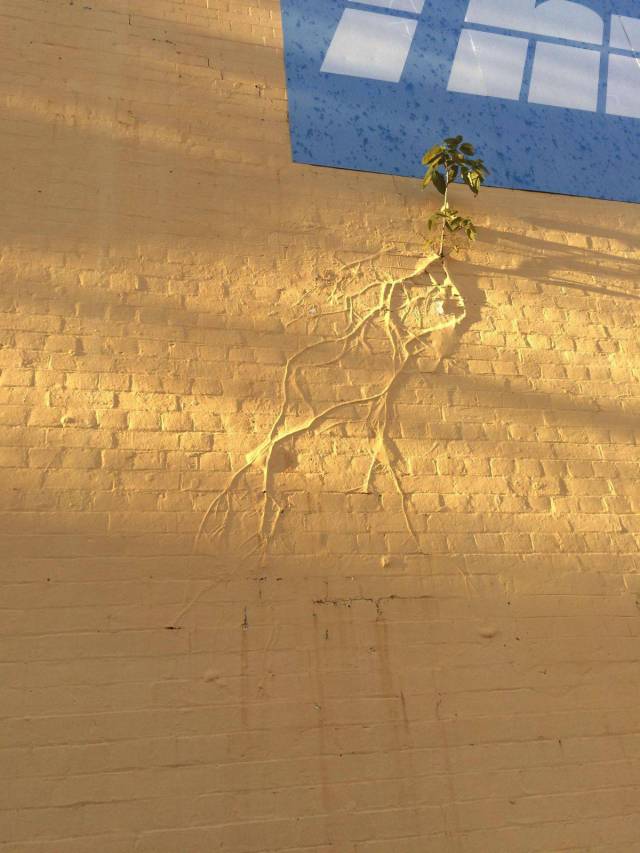 daily picdump weekend edition 66 pics 21.html - 66 HD Photos | Premium Gallery 2017