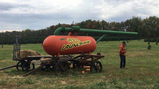 daily picdump 102 pics 38.html - 102 HD Photos | Premium Gallery 2017