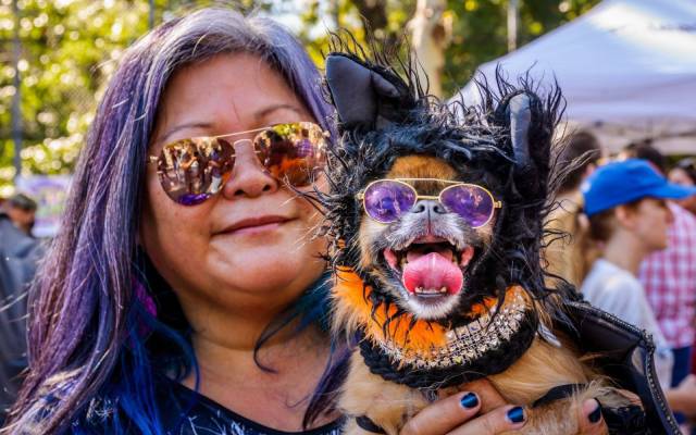 daily picdump 102 pics 38.html - 102 HD Photos | Premium Gallery 2017